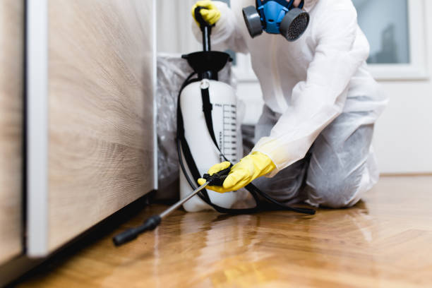 Best Bed Bug Extermination  in Brighton, TN