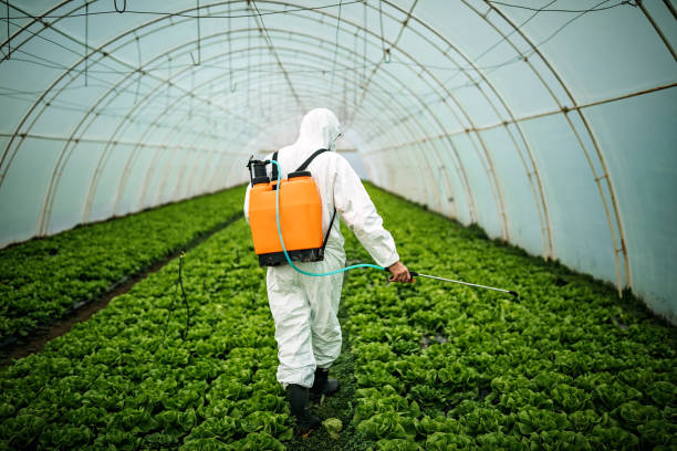 Best Pest Inspection Near Me  in Brighton, TN