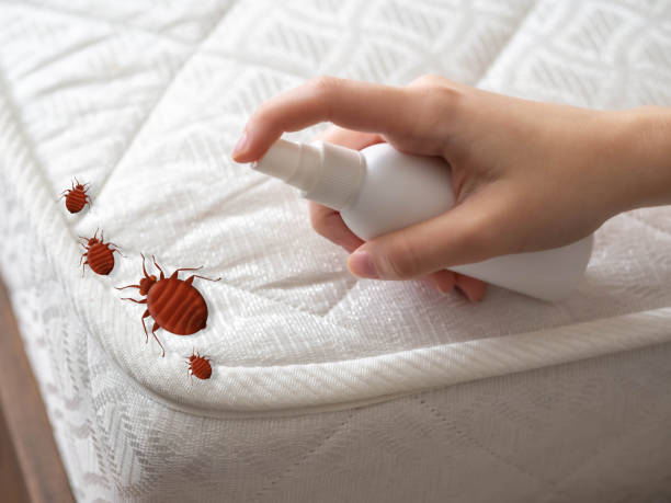 Best Flea Control Services  in Brighton, TN