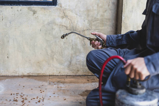 Best Residential Pest Control  in Brighton, TN